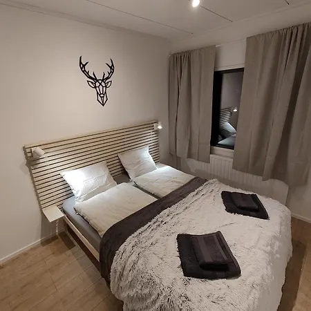 Arctic Aurora With A Lappish Grill Hut - Northern Lights And Private Sledding Hill In The Backyard, In The Hometown Of Santa Claus, Villa *