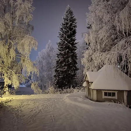 Villa Arctic Aurora With A Lappish Grill Hut - Northern Lights And Private Sledding Hill In The Backyard, In The Hometown Of Santa Claus, Rovaniemi