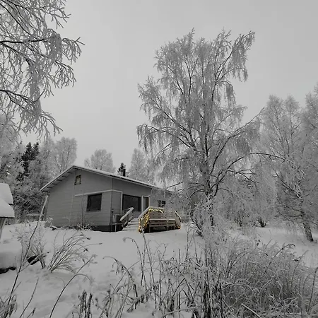 Arctic Aurora With A Lappish Grill Hut - Northern Lights And Private Sledding Hill In The Backyard, In The Hometown Of Santa Claus,