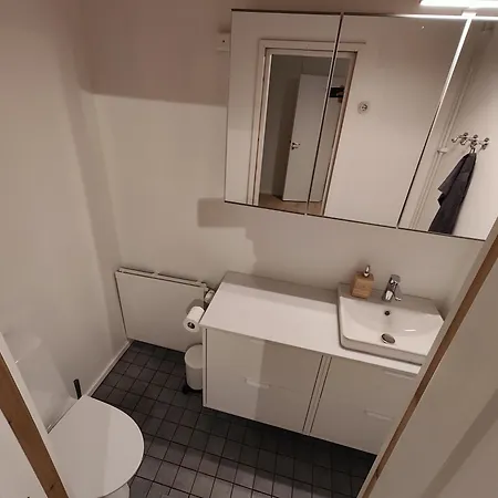 Arctic Aurora With A Lappish Grill Hut - Northern Lights And Private Sledding Hill In The Backyard, In The Hometown Of Santa Claus,