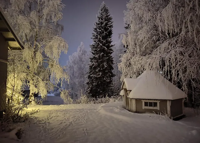 Вилла Arctic Aurora With A Lappish Grill Hut - Northern Lights And Private Sledding Hill In The Backyard, In The Hometown Of Santa Claus, Рованиеми