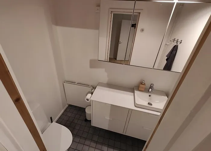 Arctic Aurora With A Lappish Grill Hut - Northern Lights And Private Sledding Hill In The Backyard, In The Hometown Of Santa Claus,